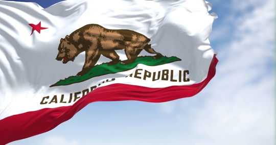 California Flag